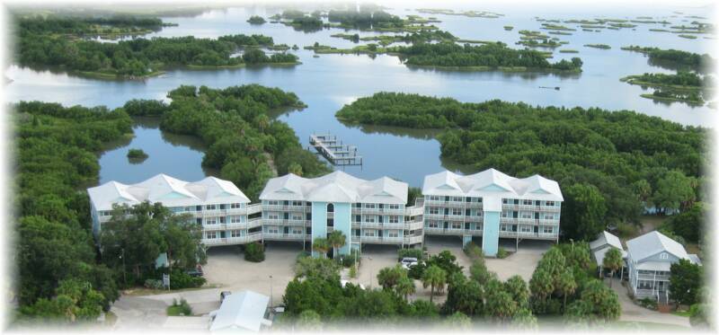 Mangroves & Condos