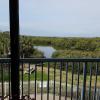 View from your balcony. Hint: watch for Spoonbills, Night Herons, Great Egrets, Snowy Egrets & more. They all feed and roost here in the mangroves.